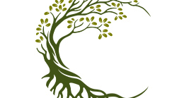 Curved-Tree