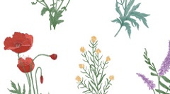 Plant-Share