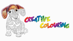 Creative-Colouring-Dog