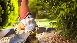 Gnome-Sunny-Garden