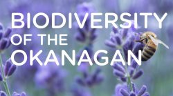 Biodiversity-Okanagan